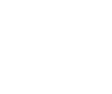 Nissan vector icon